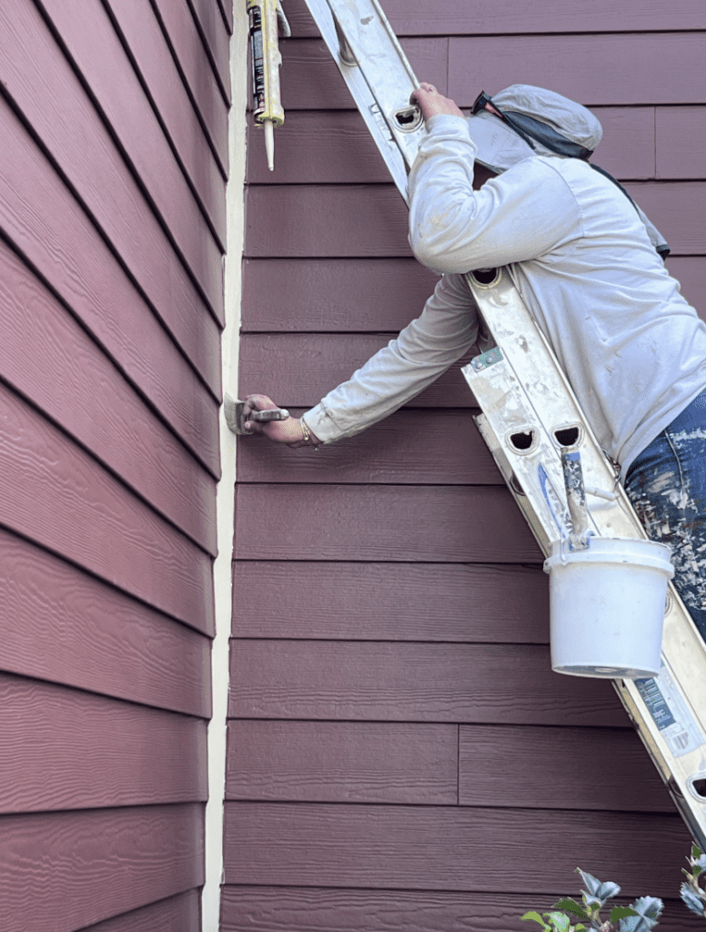 Best Painters in Northern VA